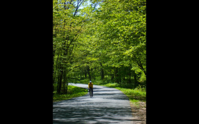 BikeLandscape_1