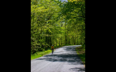 BikeLandscape_2