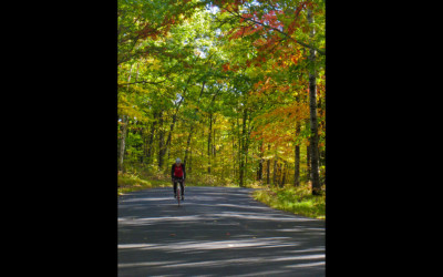 BikeLandscape_4
