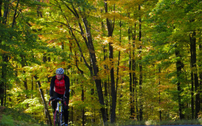 BikeLandscape_5