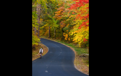 BikeLandscape_6