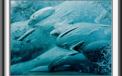 glacial_blues