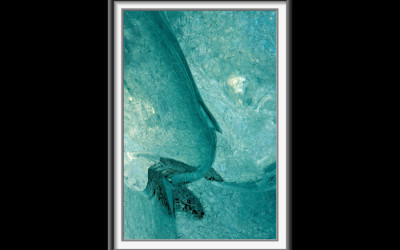 glacial_blues.1040140