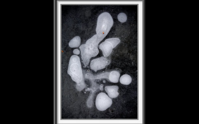 slide_20