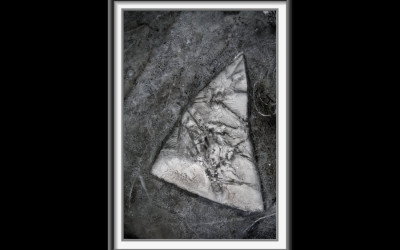 slide_21