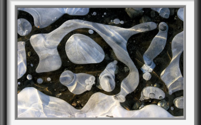 slide_7