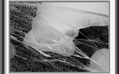 slide_8