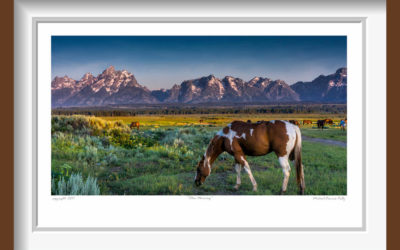 Teton_Morning